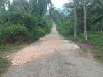 Ini Desa dan Dusun di Luktim yang Jalannya Rusak Parah