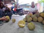 Durian Banggai ada di Jole