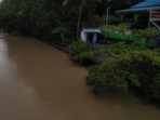 Sungai Pongian Bunta Keruh, Tanggul PT. KFM tak Akan Rampung