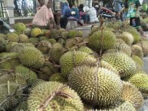 Alasan Uang Kebersihan, Pedagang Durian di Luwuk Diminta Rp 5 Ribu