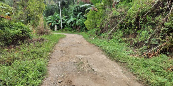 Politisi PDIP Bangkep Dorong Perbaikan Jalan Desa Tangkop-Popidolon