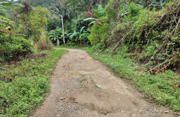 Perbaikan Jalan Desa