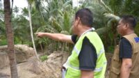 Proyek Penanganan Banjir Dondo Berdampak pada Perkebunan Warga