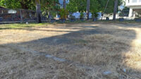 Lapangan Petanque di Luwuk, Ibarat Lahan Kuburan tanpa Pusara