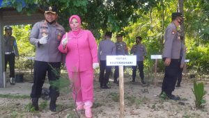 HKGB ke 70, Bhayangkari Tolitoli Tanam Pohon Cemara dan Pelepasan Tukik