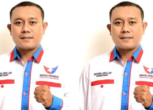 Penataan Dapil Gagal Total, Perindo Beber Raport Merah KPU Banggai
