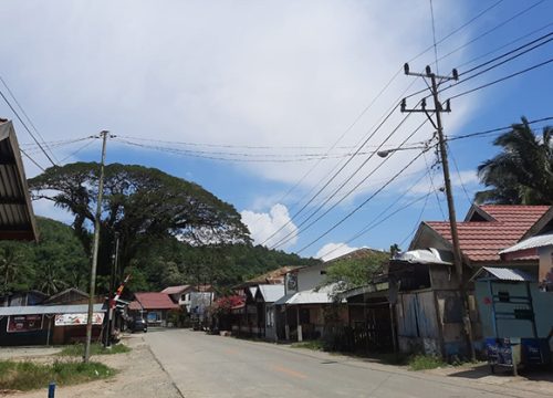 PLTMG Bisa Atasi Defisit Listrik di Banggai
