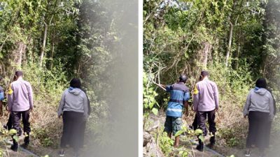 Salah Menebang Pohon Kelapa, Bhabinkamtibmas Kintom Turun Mediasi