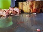 Harga Daging Ayam Potong di Luwuk Banggai Turun