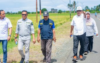 Panen Raya di Toili Barat Kabupaten Banggai Akses Jalan akan Ditutup