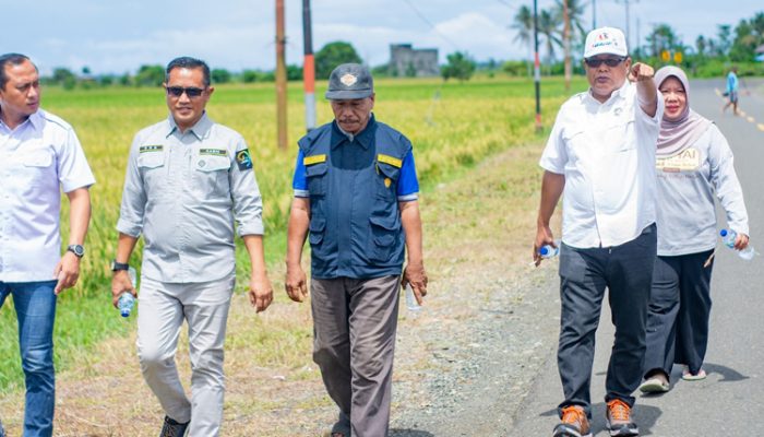 Panen Raya di Toili Barat Kabupaten Banggai Akses Jalan akan Ditutup