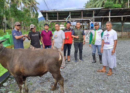 Pererat Silaturahmi dan Ketaqwaan, PT. KFM Serahkan 10 Ekor Sapi Kurban di Kabupaten Banggai