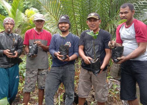Program Burung Indonesia, Desa Tangkop Bangkep Jadi Tempat Pembibitan Mangrove