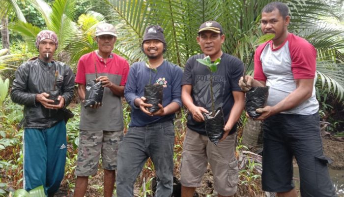 Program Burung Indonesia, Desa Tangkop Bangkep Jadi Tempat Pembibitan Mangrove