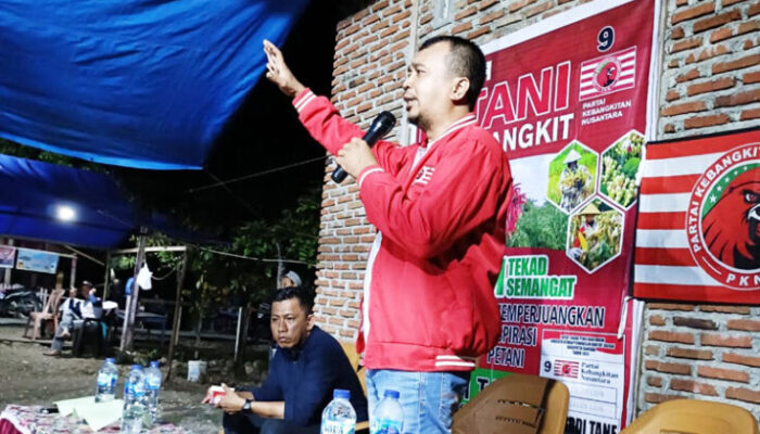 Dua Caleg PKN Kampanye di Lamala, Begini Orasi Politik Mardi Tane dan Alwin Palalo