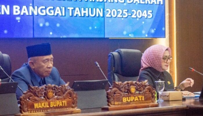 Furqanuddin Sampaikan Nota Pengantar Raperda RPJPD Banggai 2025-2045 di Paripurna DPRD