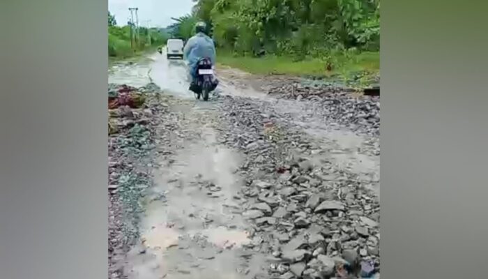 Ruas Jalan Nasional di Pagimana Banggai Tertutup Longsor