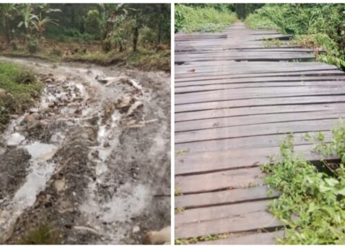 Kondisi Jalan dan Jembatan di Desa Dongkalan Pagimana Memprihatinkan