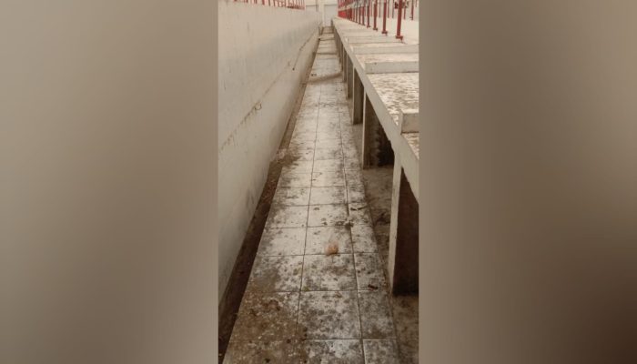Dianggarkan Rp3,8 Miliar, Pasar Pagimana Banggai Penuh dengan Sampah dan Kotoran Hewan