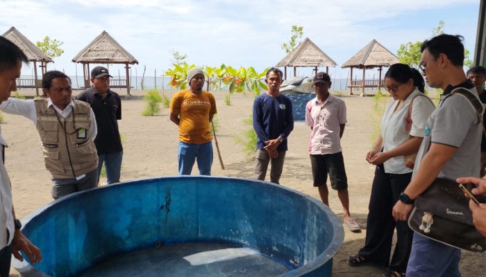 Hadirkan Narasumber TCEC, JOB Tomori Bikin Penguatan Kelompok Pengelola Ekowisata Penyu