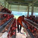 Ponpes Desa Bukit Makarti Toili Barat Nikmati Program SJSP