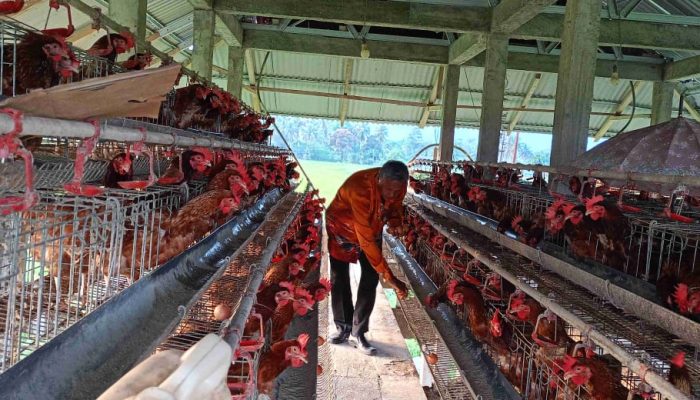 Ponpes Desa Bukit Makarti Toili Barat Nikmati Program SJSP