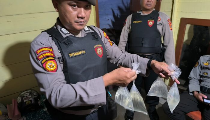 Simpan Cap Tikus di Rumah, IRT di Luwuk Kena Razia Polisi