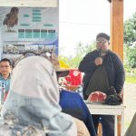 Manajemen JOB Tomori Kembangkan Pemanfaatan Burung Hantu untuk Pertanian Berkelanjutan