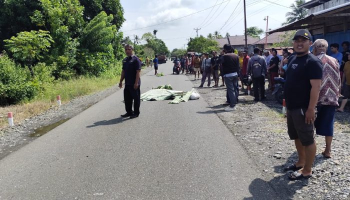 Kecelakaan Tragis, Pemotor di Toili Barat Tewas Setelah Terlindas Truk
