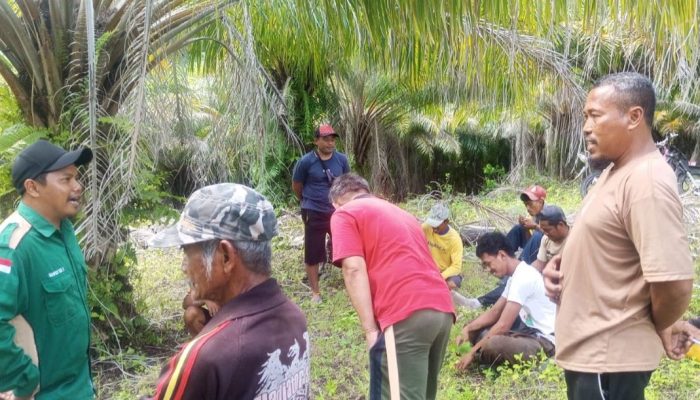 Warga Dusun 3 Sampaka Bualemo Setop Aktifitas PT WMP