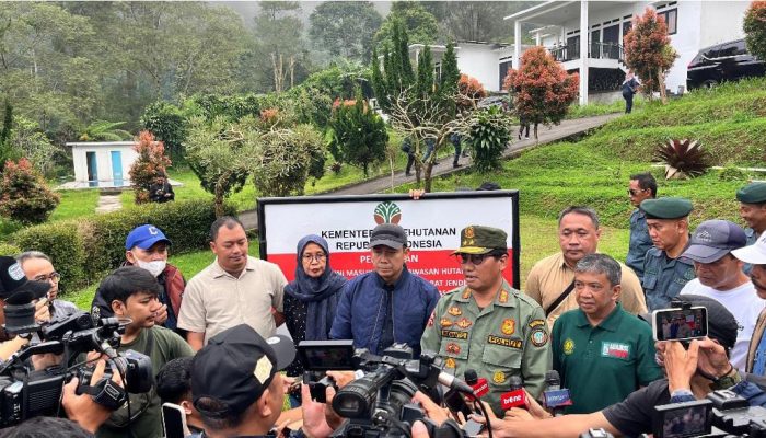 Bentuk Penanggulangan Bencana, Pemerintah Tindak Tegas Pelanggar Kesesuaian Pemanfaatan Ruang