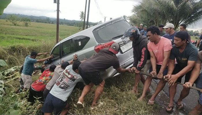 Berniat Melambung Kendaraan, Mobil Calya Masuk Sawah di Batui Selatan