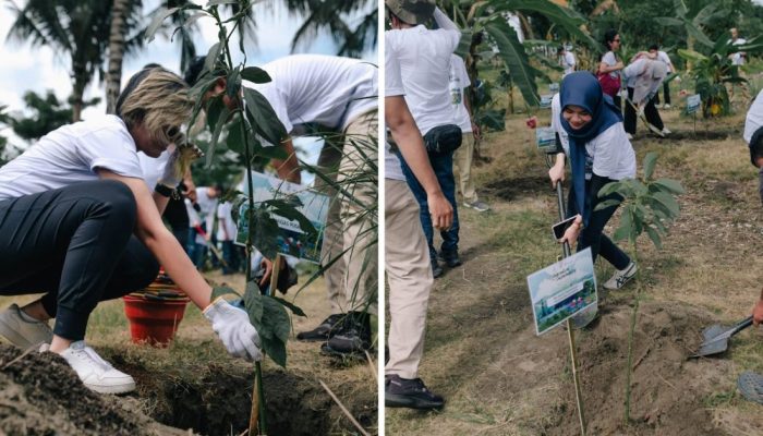 SKK Migas-PEP Donggi Matindok Field Tanam 2.600 Bibit Pohon di Sekolah