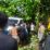 Kendaraan Pickup Terperosok Masuk ke Kebun Warga di Luwuk Timur