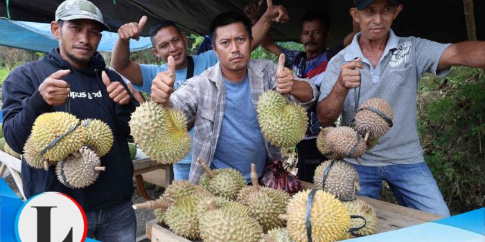 Durian Pagimana Masih Mahal, Panen Raya Maret–Juli 2026 Diprediksi Bikin Harga Turun Drastis