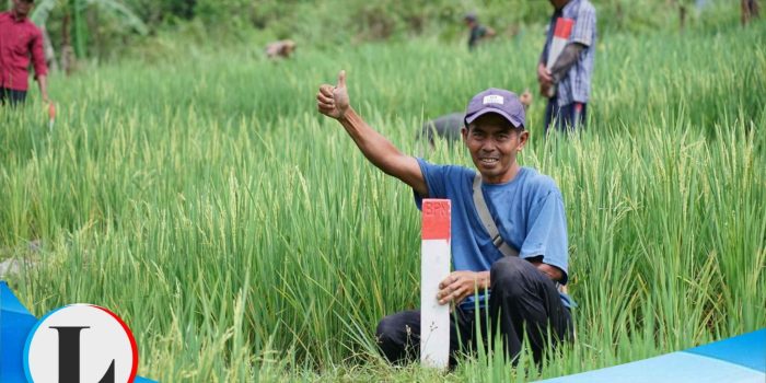 Mudik ke Kampung Halaman? Jaga Batas Tanah sebagai Langkah Awal Cegah Konflik Antartetangga