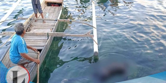 Tragedi di Senja Pagimana, Nelayan Pencari Teripang Ditemukan Meninggal yang Jasadnya Terapung di Laut