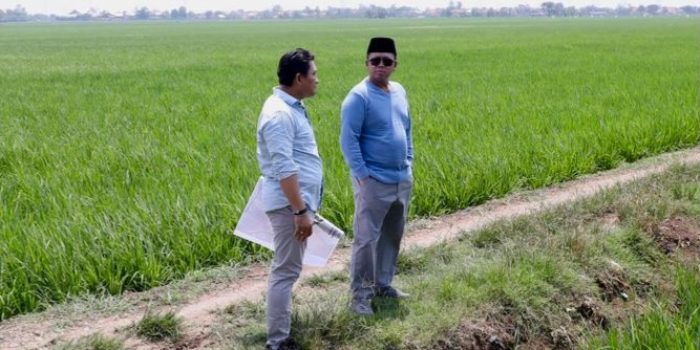 Tinjau Kawasan Industri di Indramayu, Menteri Nusron Pastikan Lahan Tidak Masuk ke LSD