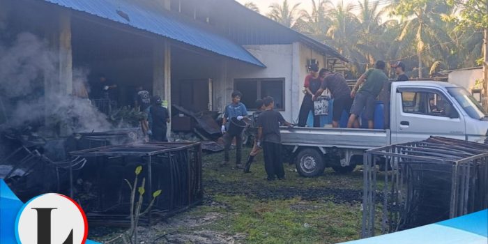 Pabrik Briket PT. Eco Coco di Pagimana Terbakar, Kerugian 1 Miliar