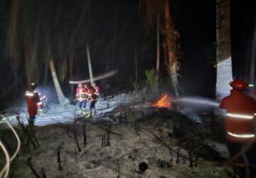 Angin Kencang Picu Karhutla Marak di Luwuk Timur, Tim Gabungan Bergerak Cepat