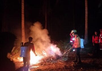 VIDEO: Kemarau Landa Pagimana, BPBD Banggai dan Tim Gabungan Terjun Padamkan Karhutla di Tiga Titik