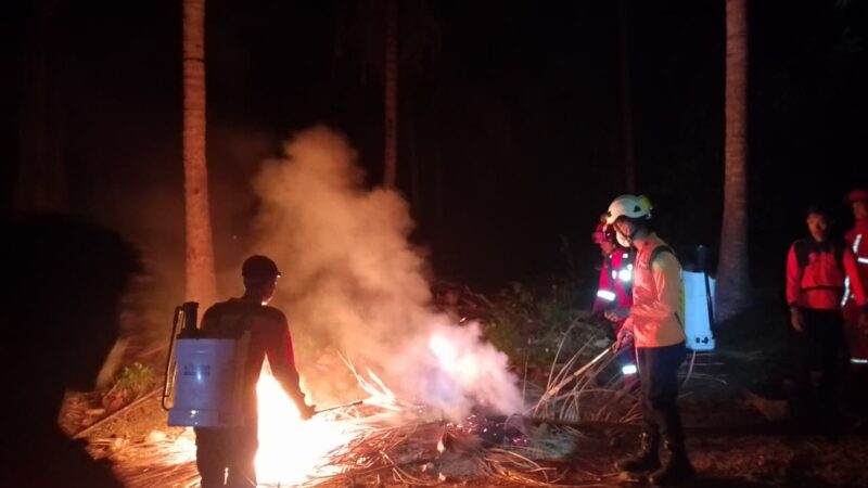 VIDEO: Kemarau Landa Pagimana, BPBD Banggai dan Tim Gabungan Terjun Padamkan Karhutla di Tiga Titik
