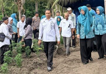 Dari Lahan Tidur Menjadi Sumber Kehidupan, Sentuhan Hangat Ketua TP PKK Banggai untuk Petani Lamo