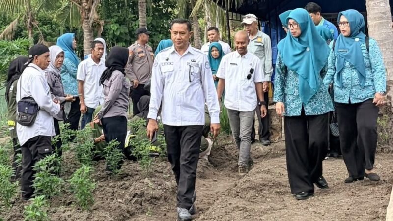 Dari Lahan Tidur Menjadi Sumber Kehidupan, Sentuhan Hangat Ketua TP PKK Banggai untuk Petani Lamo