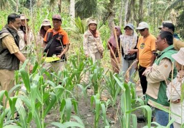 Dorong Kesejahteraan Petani, PT PAU Perkuat Kolaborasi Public-Private Partnership di Banggai