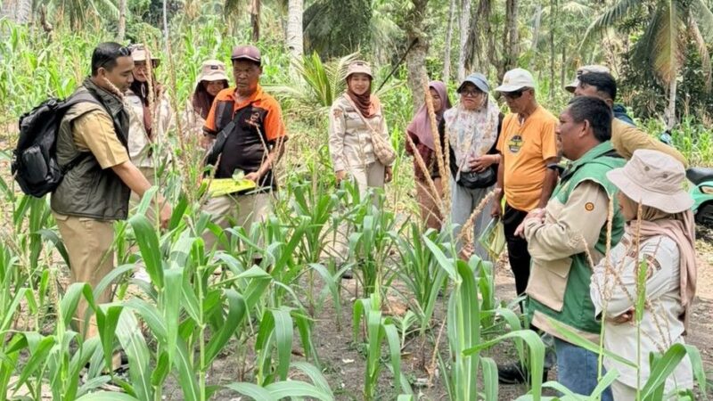 Dorong Kesejahteraan Petani, PT PAU Perkuat Kolaborasi Public-Private Partnership di Banggai
