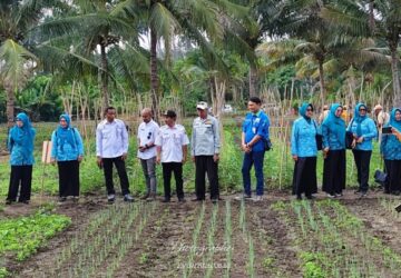 Pemkab Banggai dan PT PAU Dorong Kemandirian Tani lewat Sekolah Lapang Hortikultura
