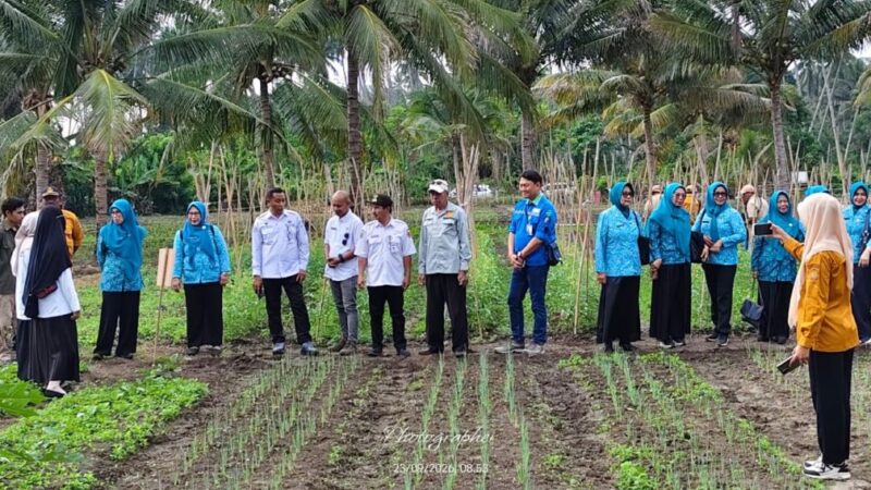 Pemkab Banggai dan PT PAU Dorong Kemandirian Tani lewat Sekolah Lapang Hortikultura