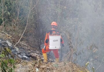 TRC BPBD Banggai Padamkan 500 Meter Persegi Karhutla di Maahas Luwuk Selatan