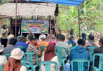 Gandeng PT PAU, TPHP Banggai Gembleng Petani Jagung Batui dan Kintom Lewat Sekolah Lapang